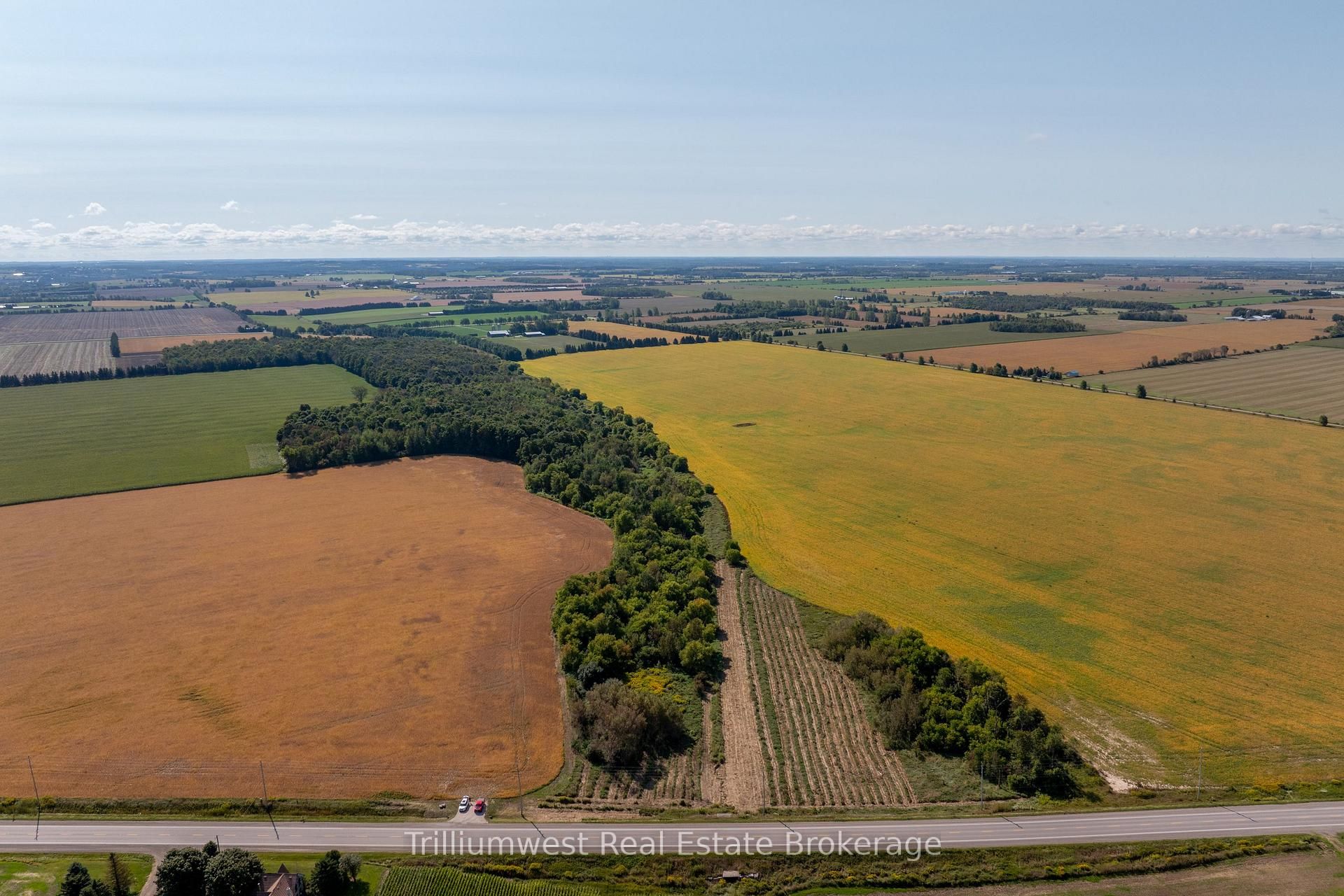 9e1edb403d979a18a0b39acaf9b1b729